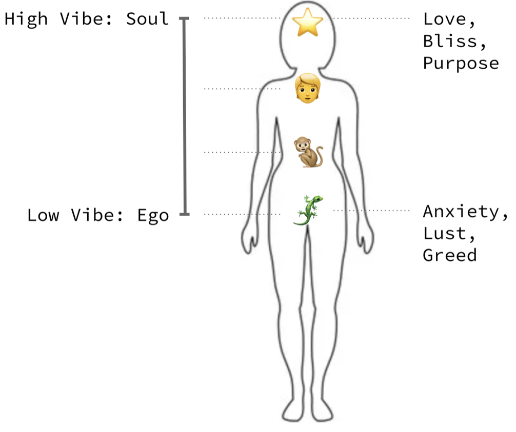 A body from High Vibe (Soul: love, bliss, purpose) down to Low Vibe (Ego: anxiety, lust, greed)